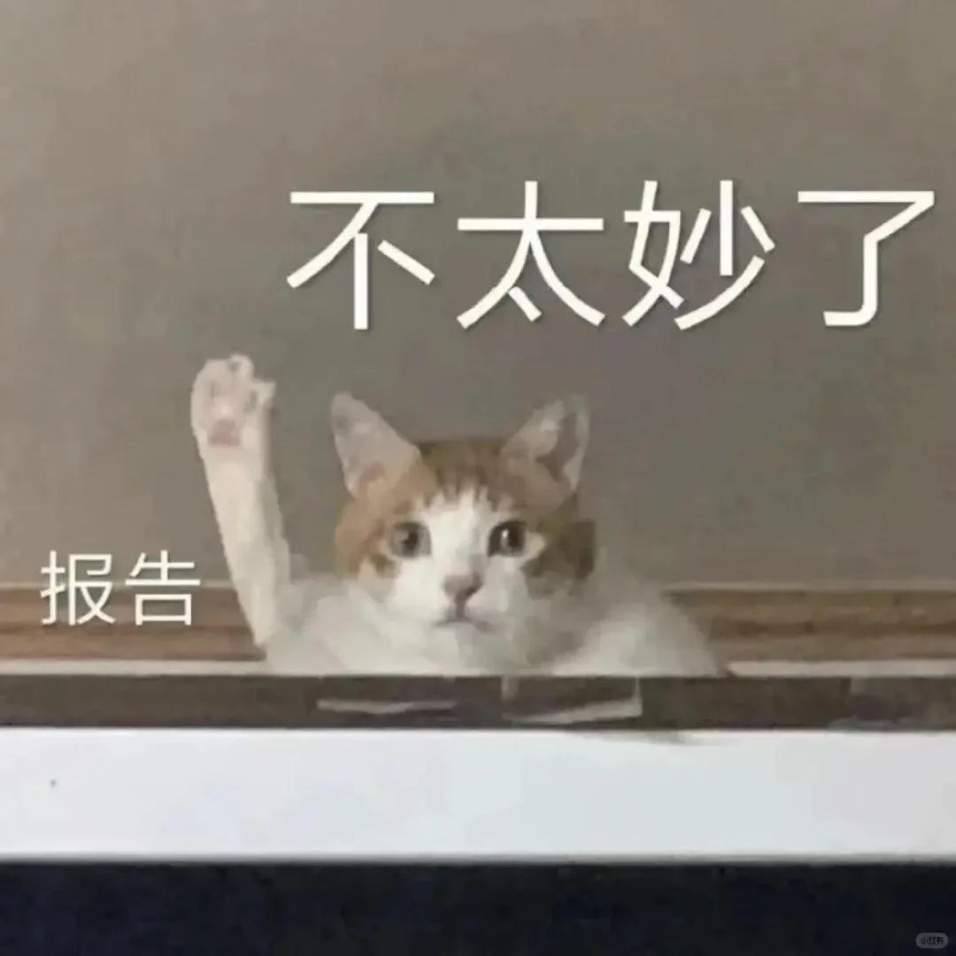 全方面完蛋！！！