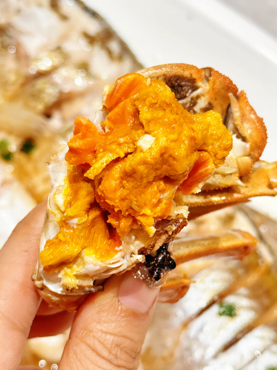 有没有人解释一下苏州这种现象。。。