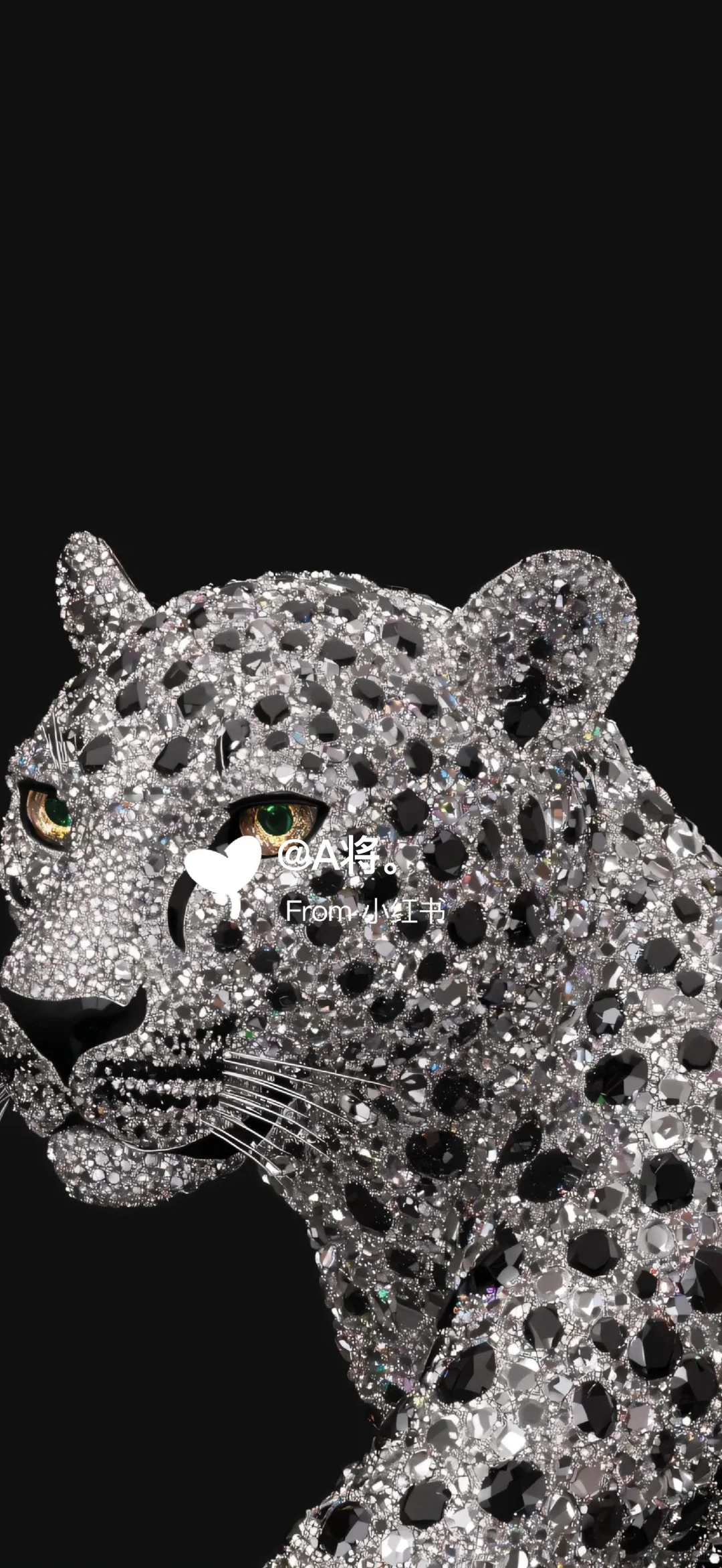 一起豹发高能量壁纸