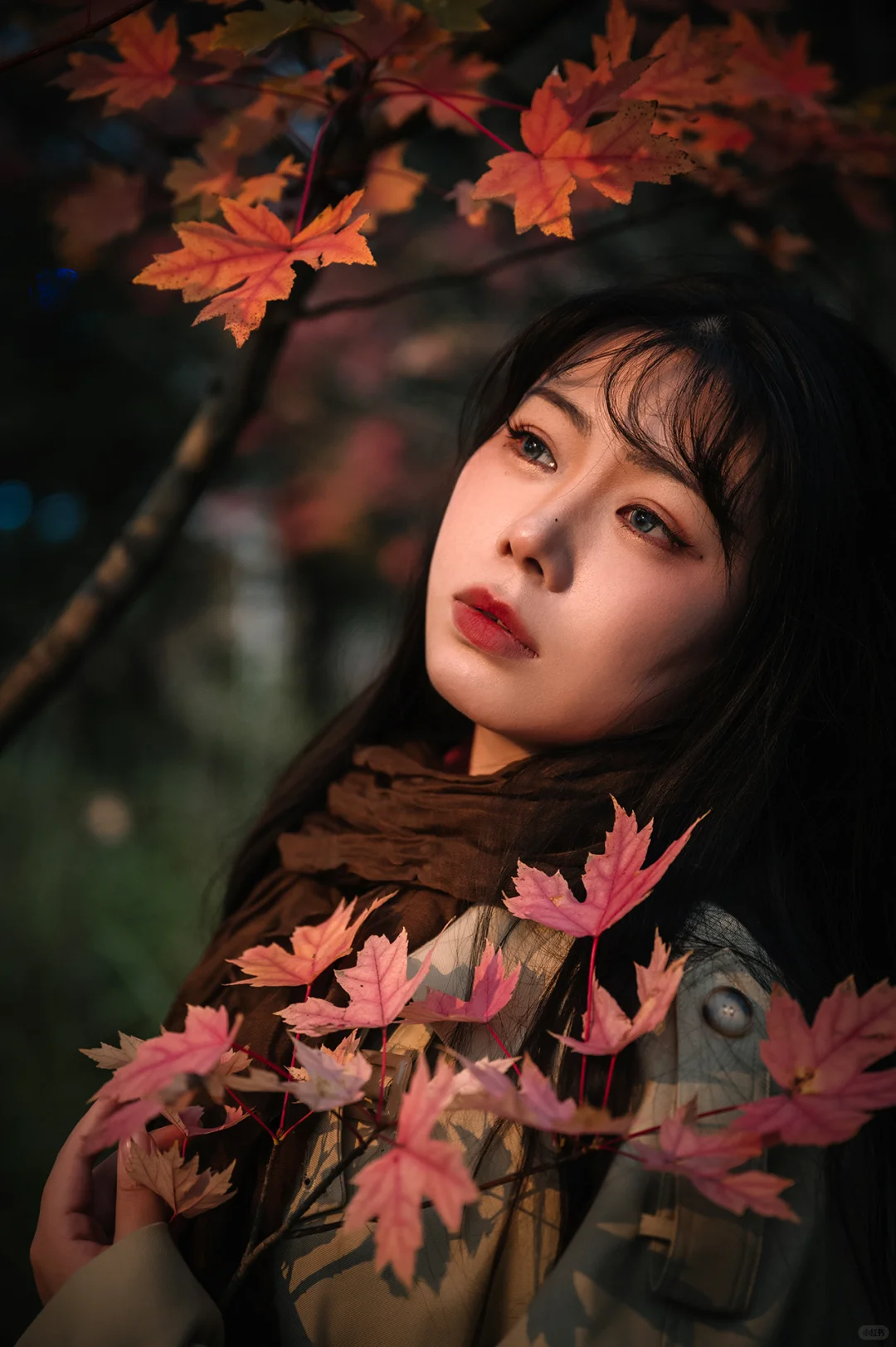 不去人挤人，在一棵枫树旁拍了一组写真