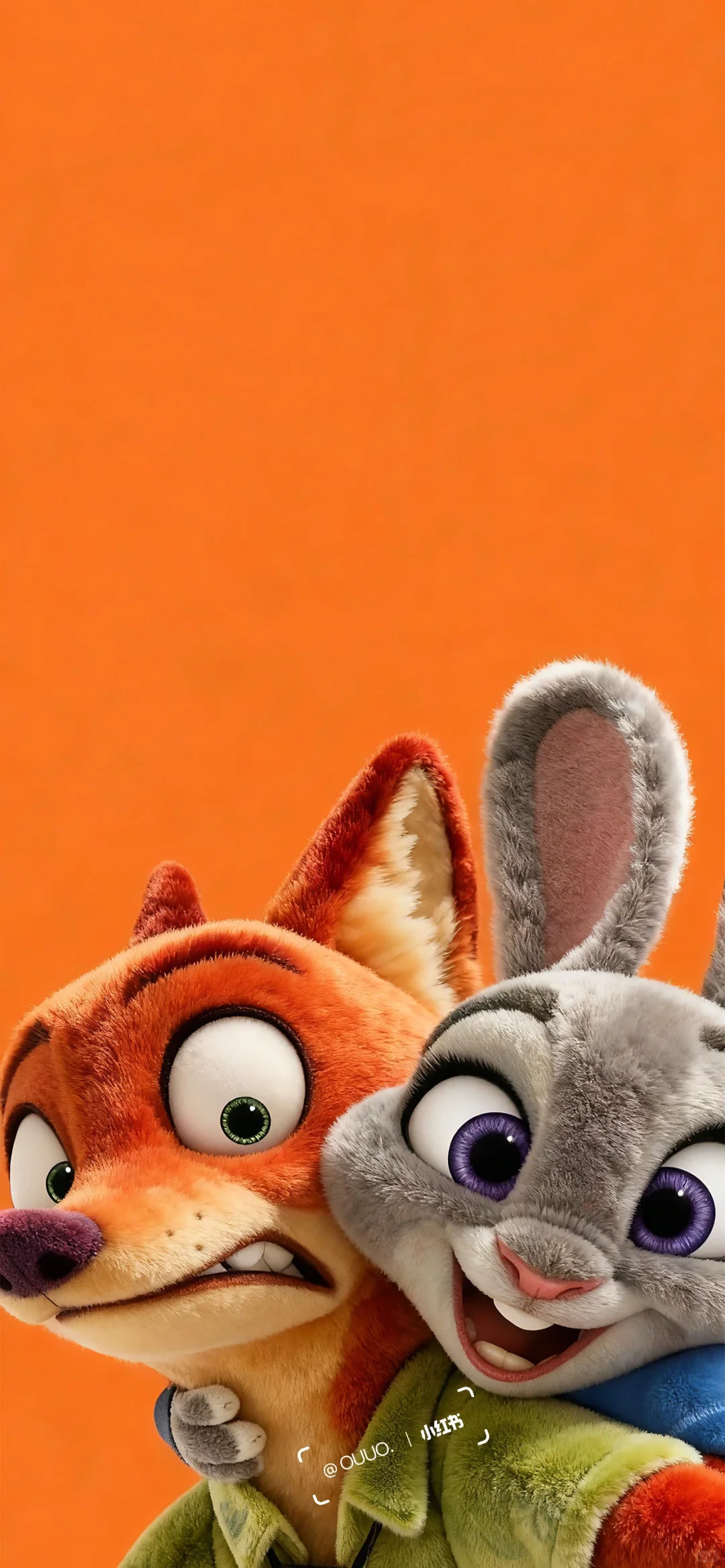 𝘄𝗮𝗹𝗹𝗽𝗮𝗽𝗲𝗿｜疯狂动物城毛茸壁纸🐰