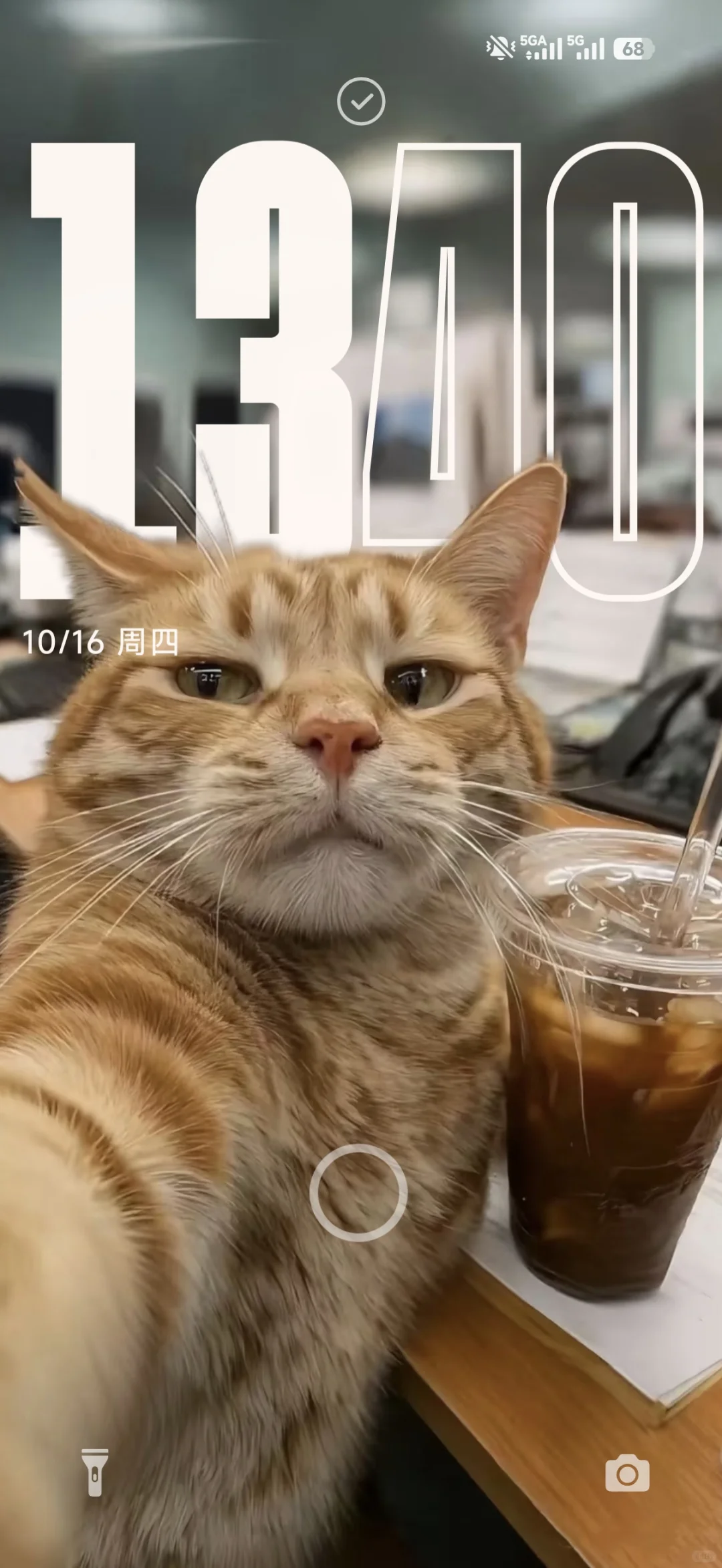 牛马壁纸自取and真诚发问