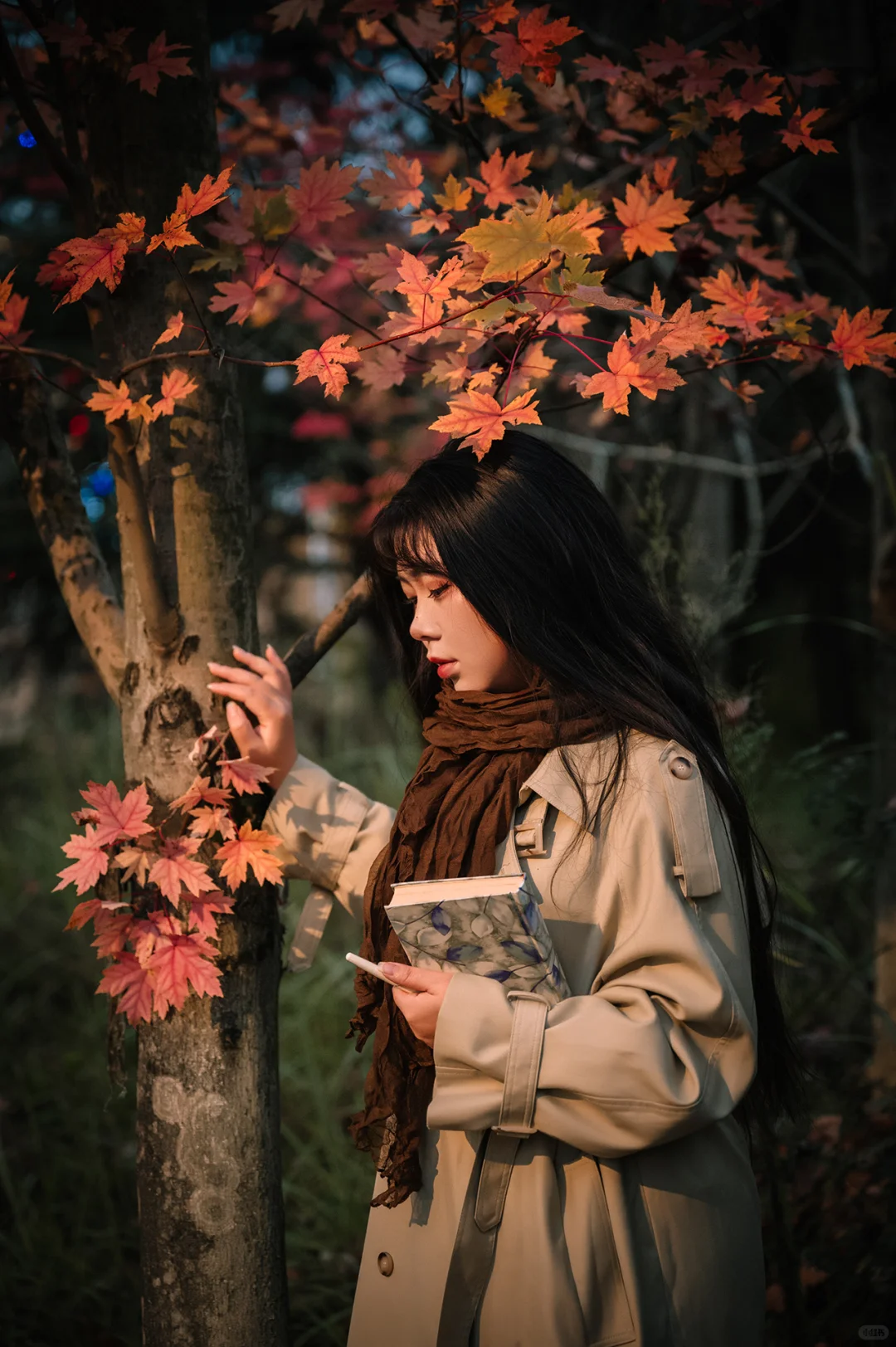 不去人挤人，在一棵枫树旁拍了一组写真