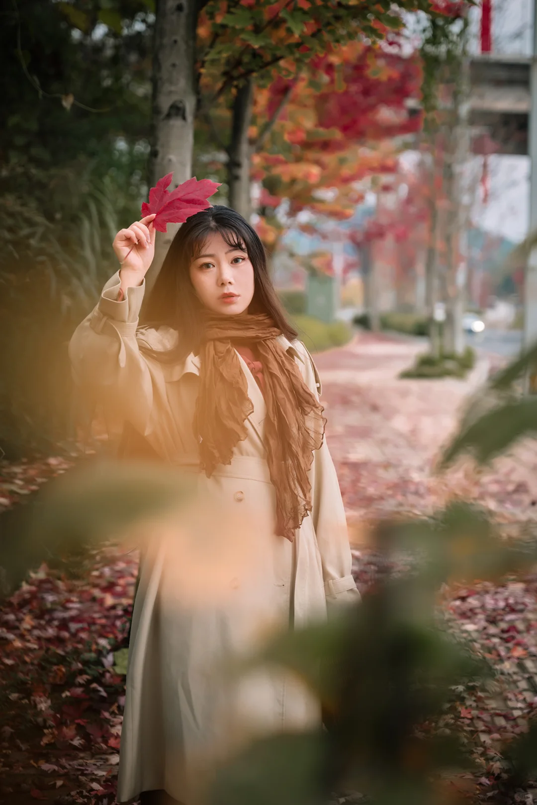 不去人挤人，在一棵枫树旁拍了一组写真