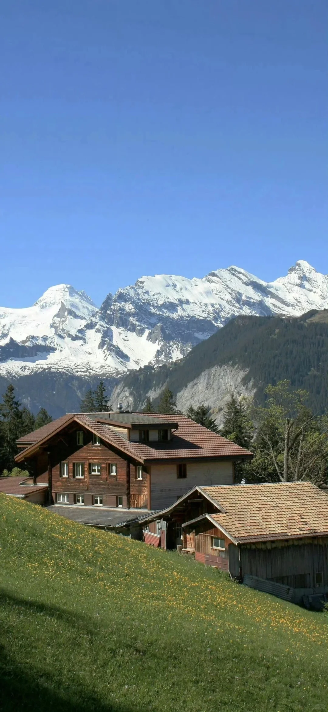 壁纸｜高级感爆棚的手机壁纸