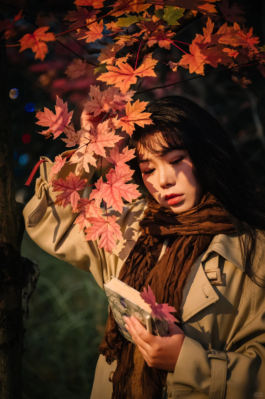 不去人挤人，在一棵枫树旁拍了一组写真