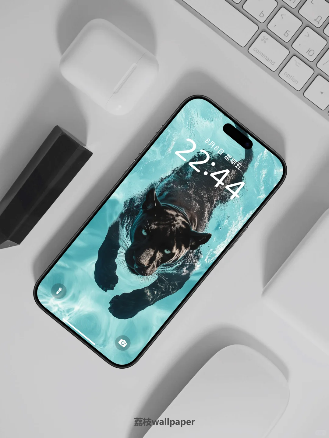 044｜简约高清壁纸｜游水豹