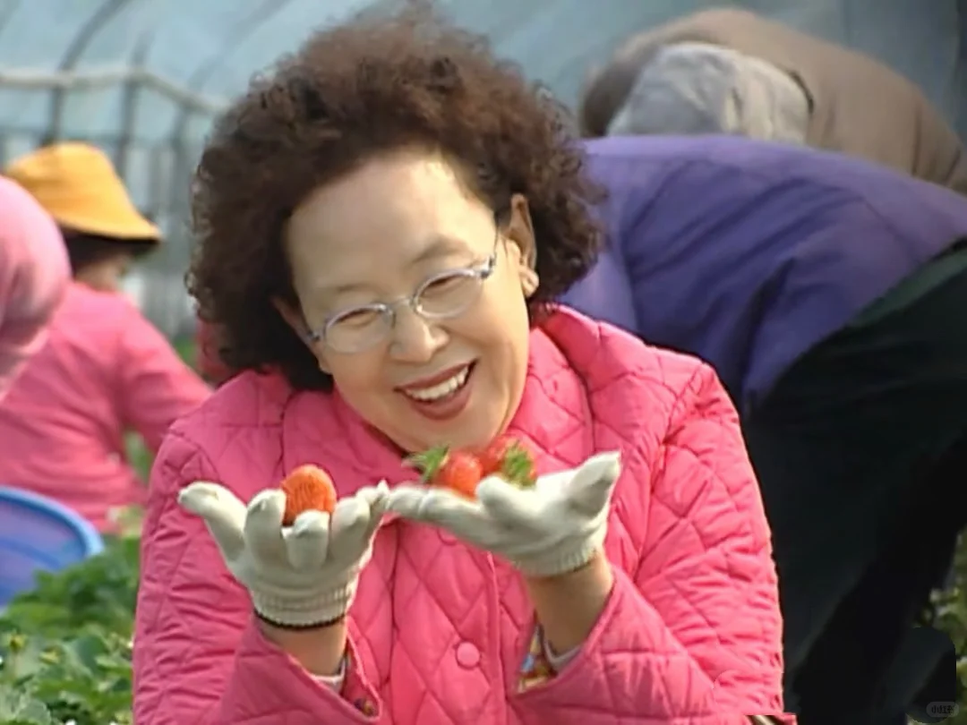 搞笑表情包 罗文姬女士