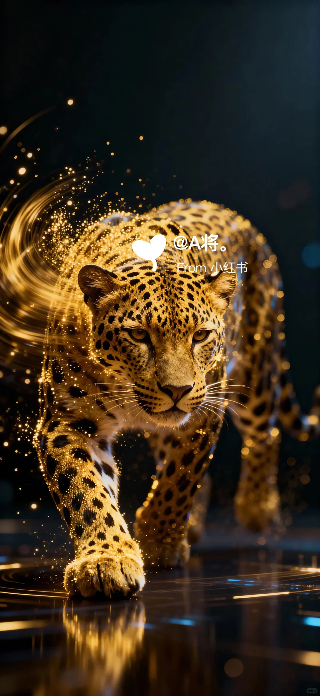 一起豹发高能量壁纸