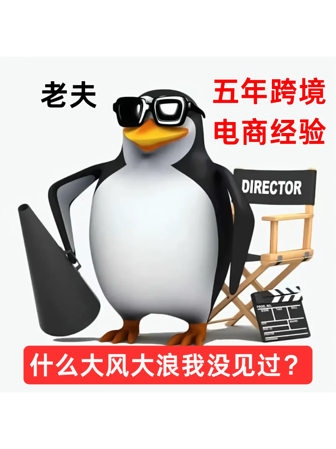 抽象墨镜企鹅表情包（跨境电商版）