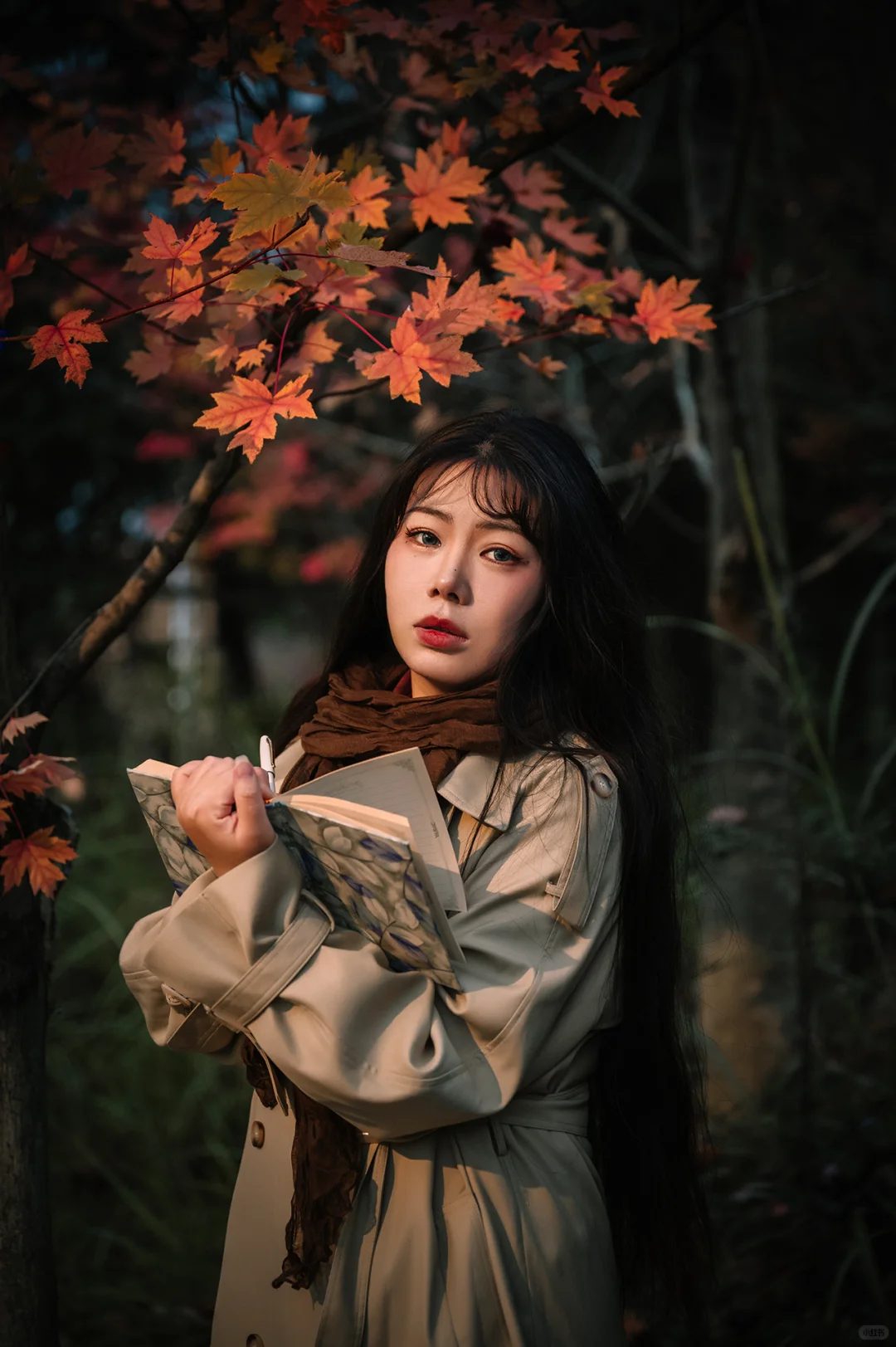 不去人挤人，在一棵枫树旁拍了一组写真