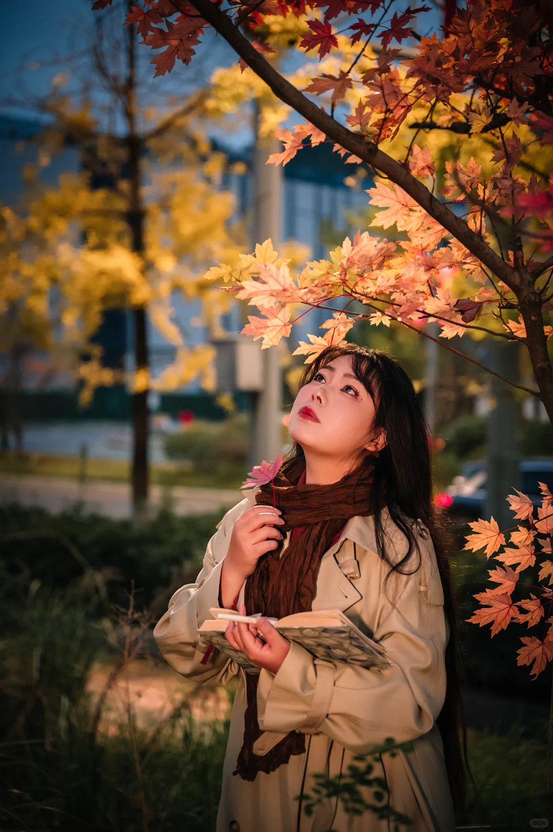 不去人挤人，在一棵枫树旁拍了一组写真