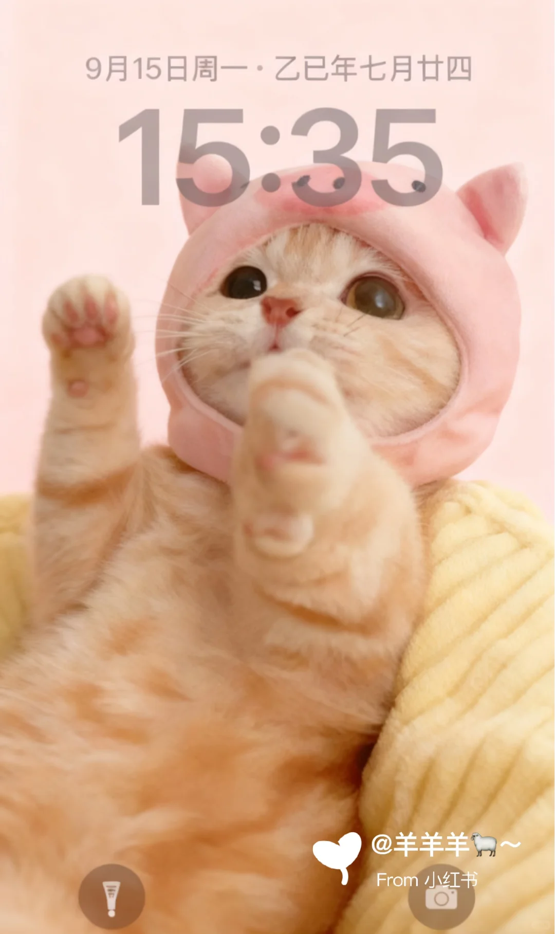 锁屏壁纸|氛围感冬季壁纸