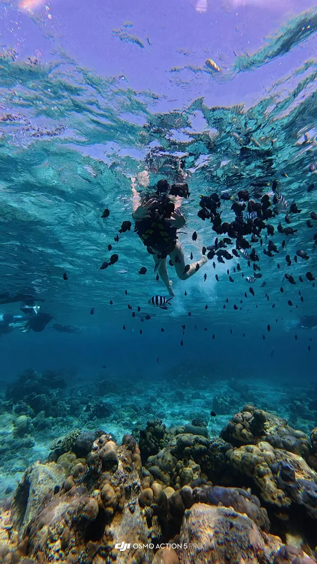 海岛出片密码！2件「玩水+拍照」神器💦