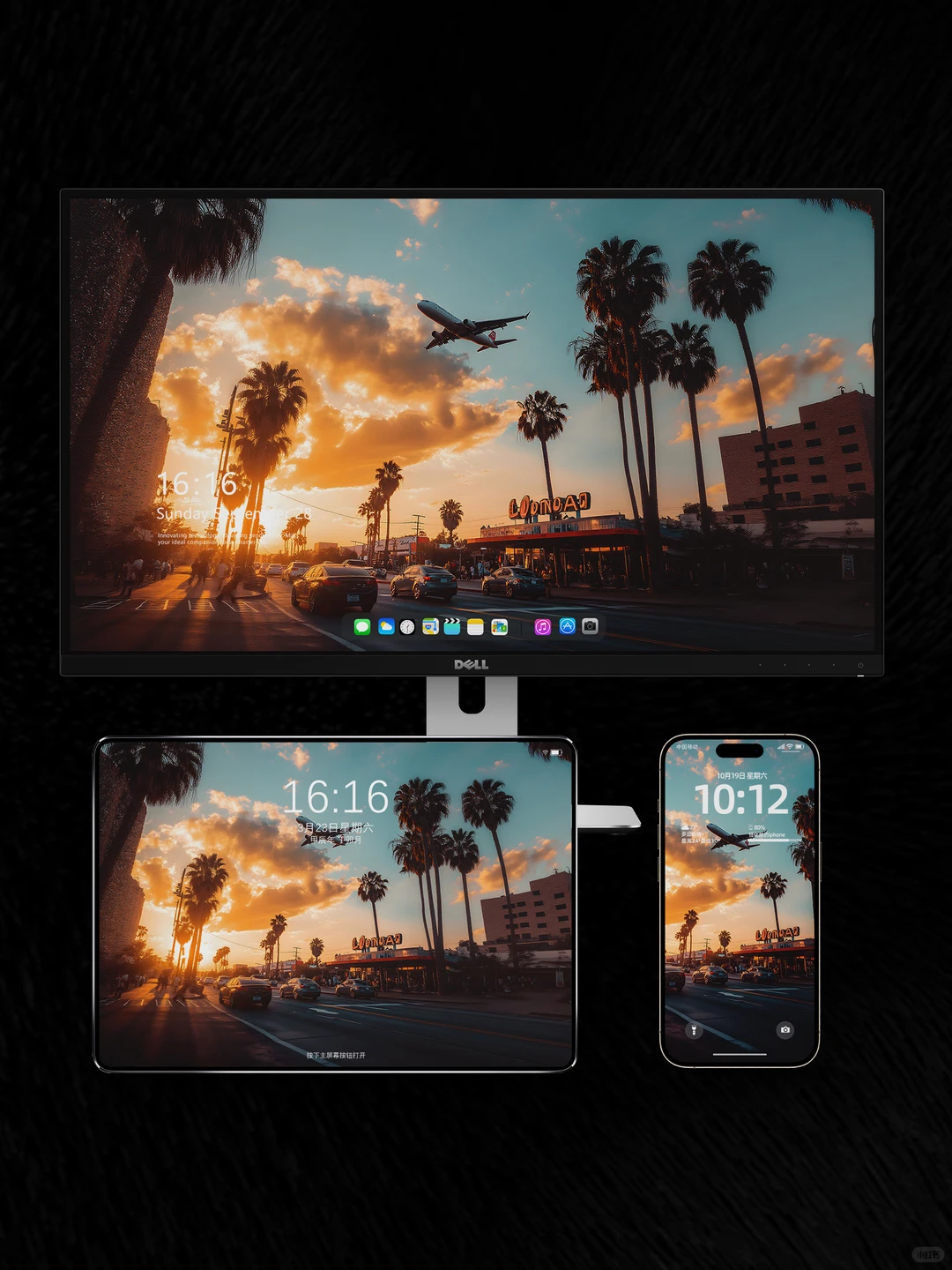 Wallpaper ｜夕阳下的飞机与棕榈树