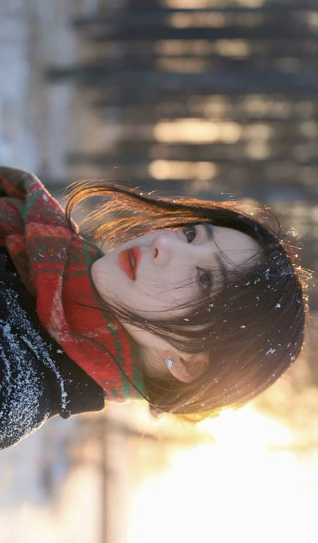 今日份4K高清壁纸分享