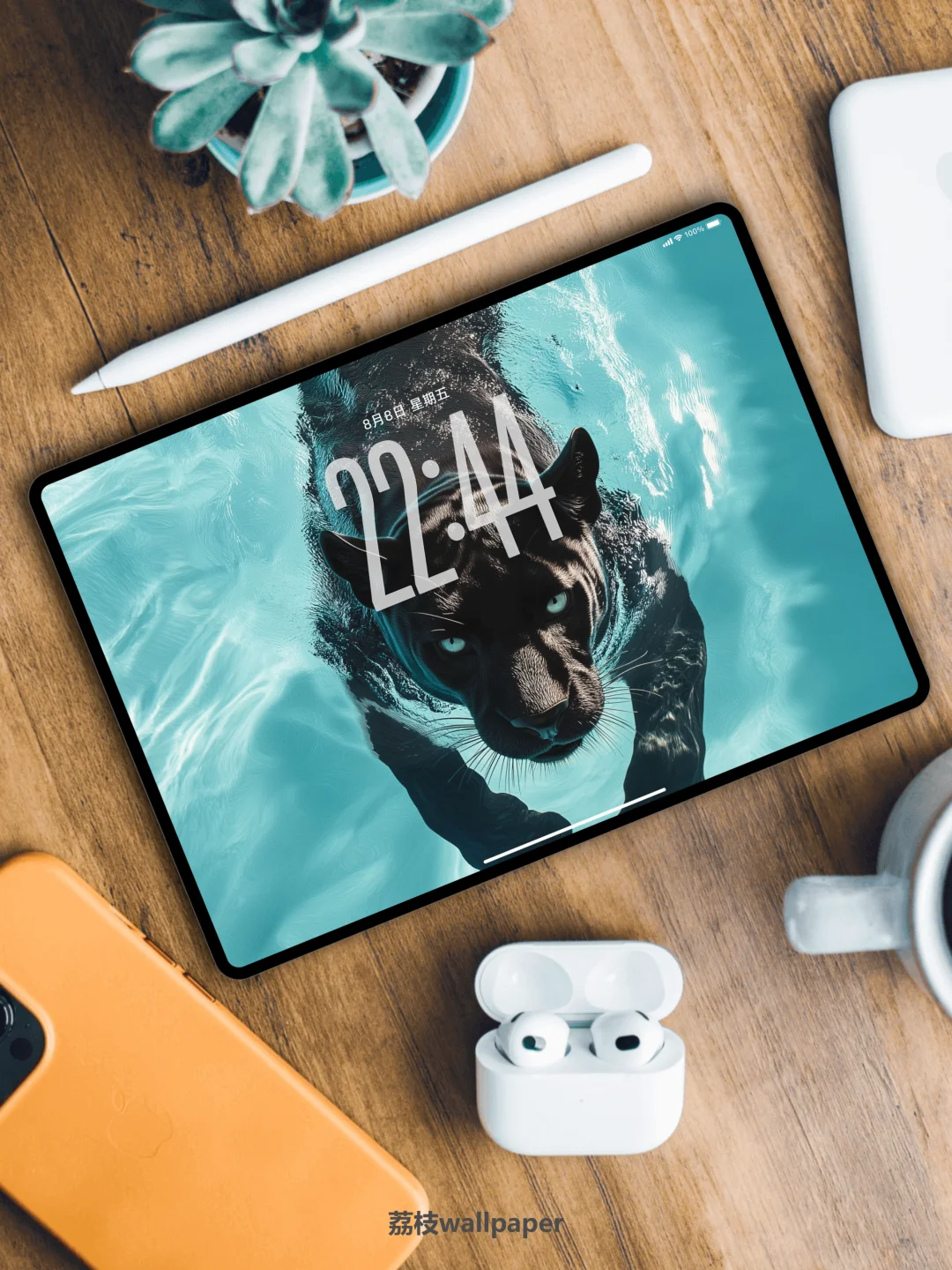 044｜简约高清壁纸｜游水豹