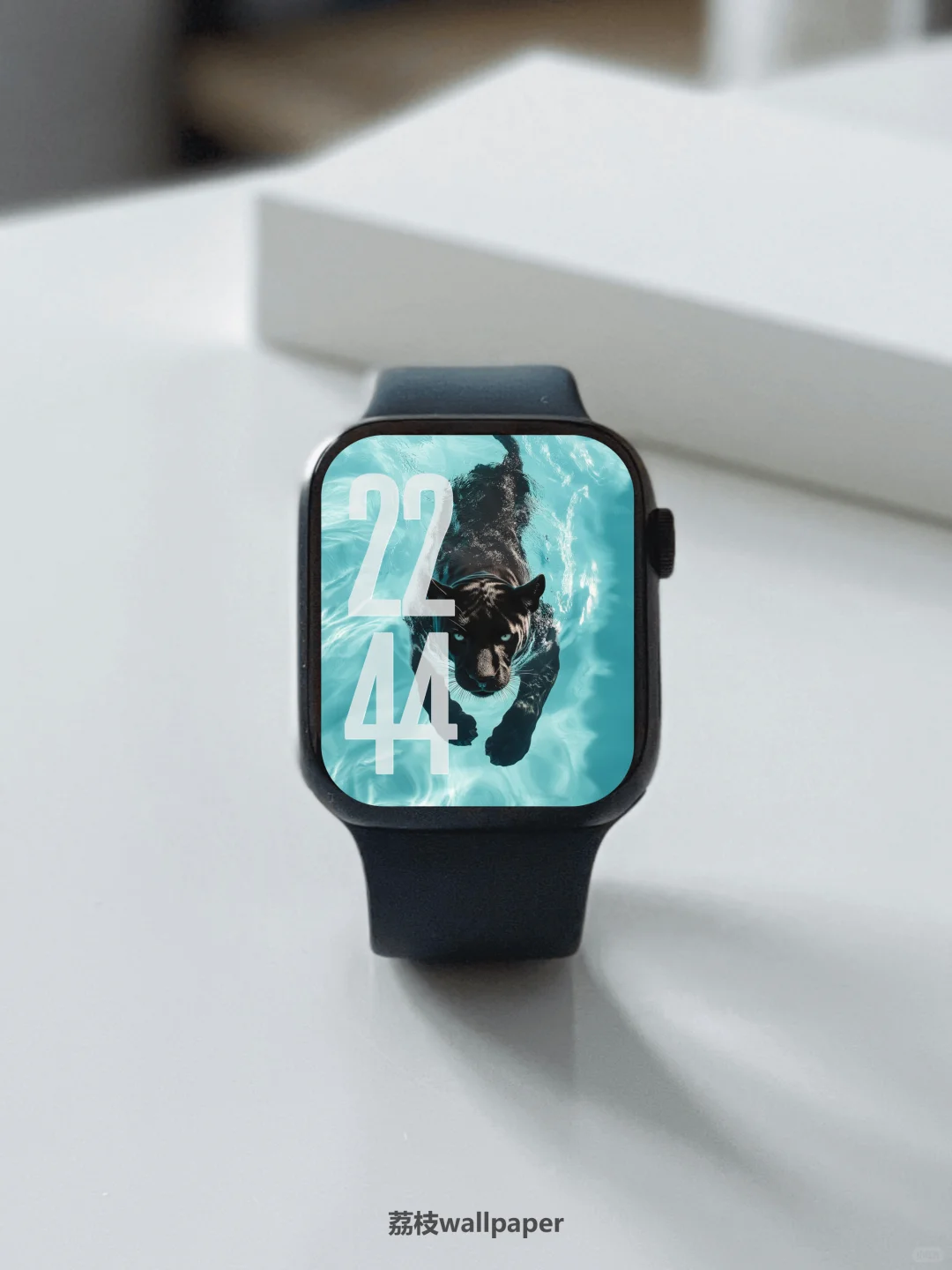 044｜简约高清壁纸｜游水豹