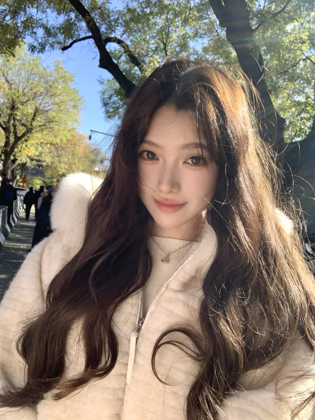 在冬天把阳光晒透