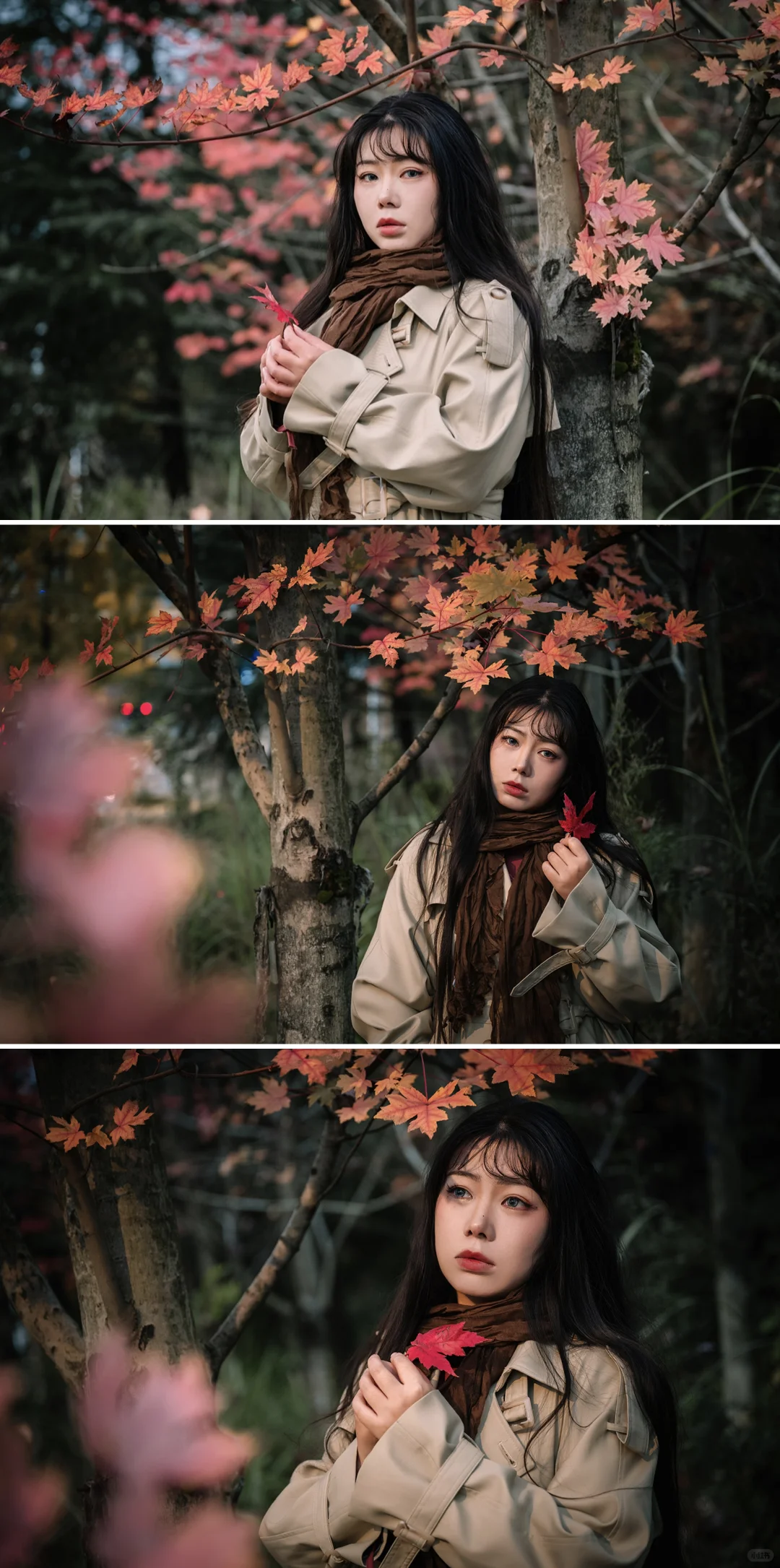 不去人挤人，在一棵枫树旁拍了一组写真