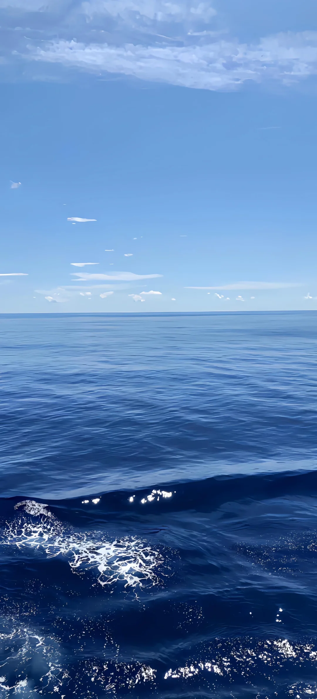 𝑺𝒉𝒂𝒓𝒆｜超治愈蓝调壁纸•͈ᴗ⁃͈💙 ˊ˗