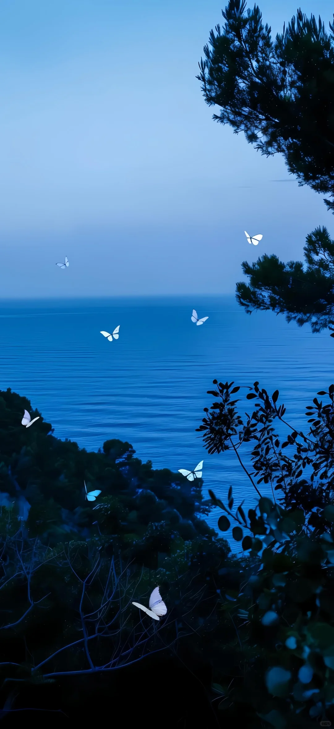 𝑺𝒉𝒂𝒓𝒆｜超治愈蓝调壁纸•͈ᴗ⁃͈💙 ˊ˗