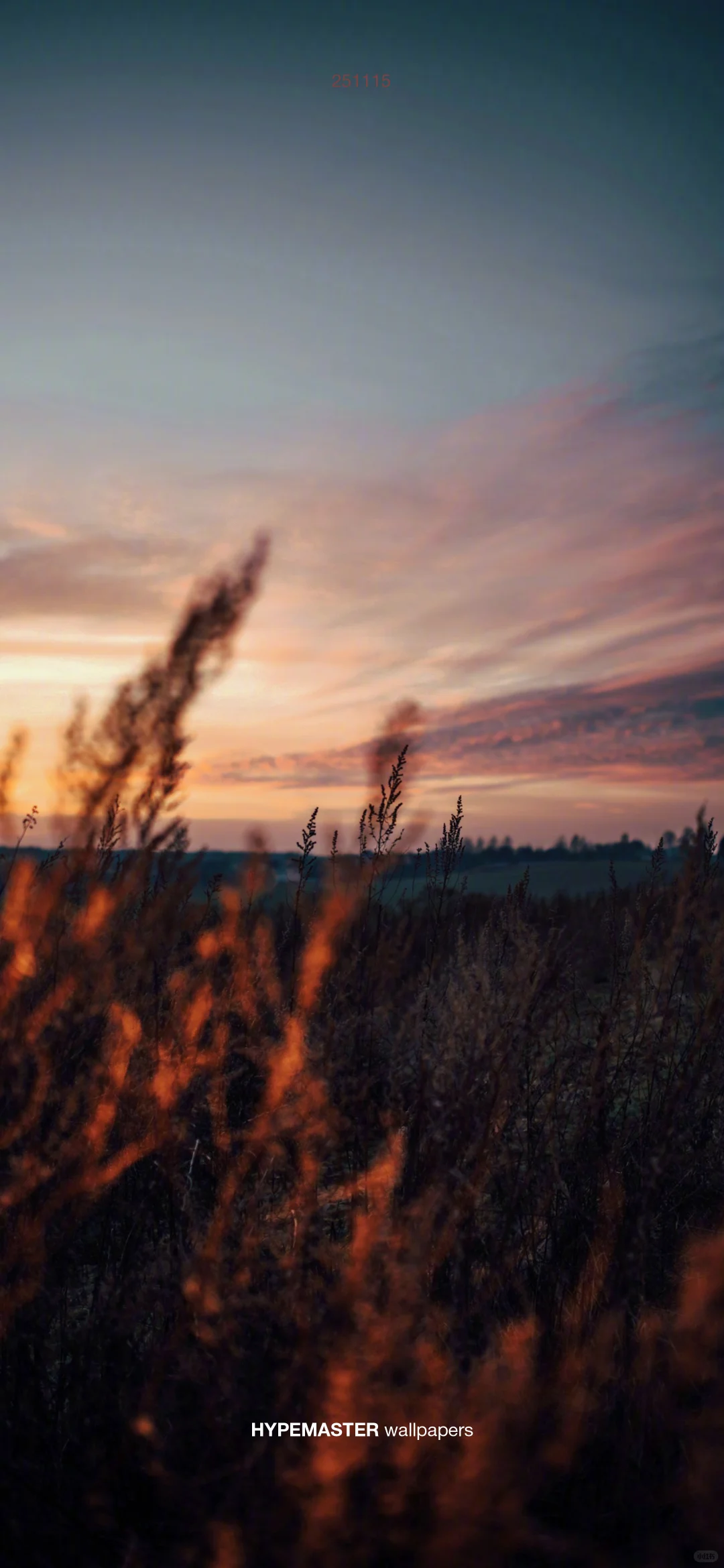 审美在线情绪手机壁纸