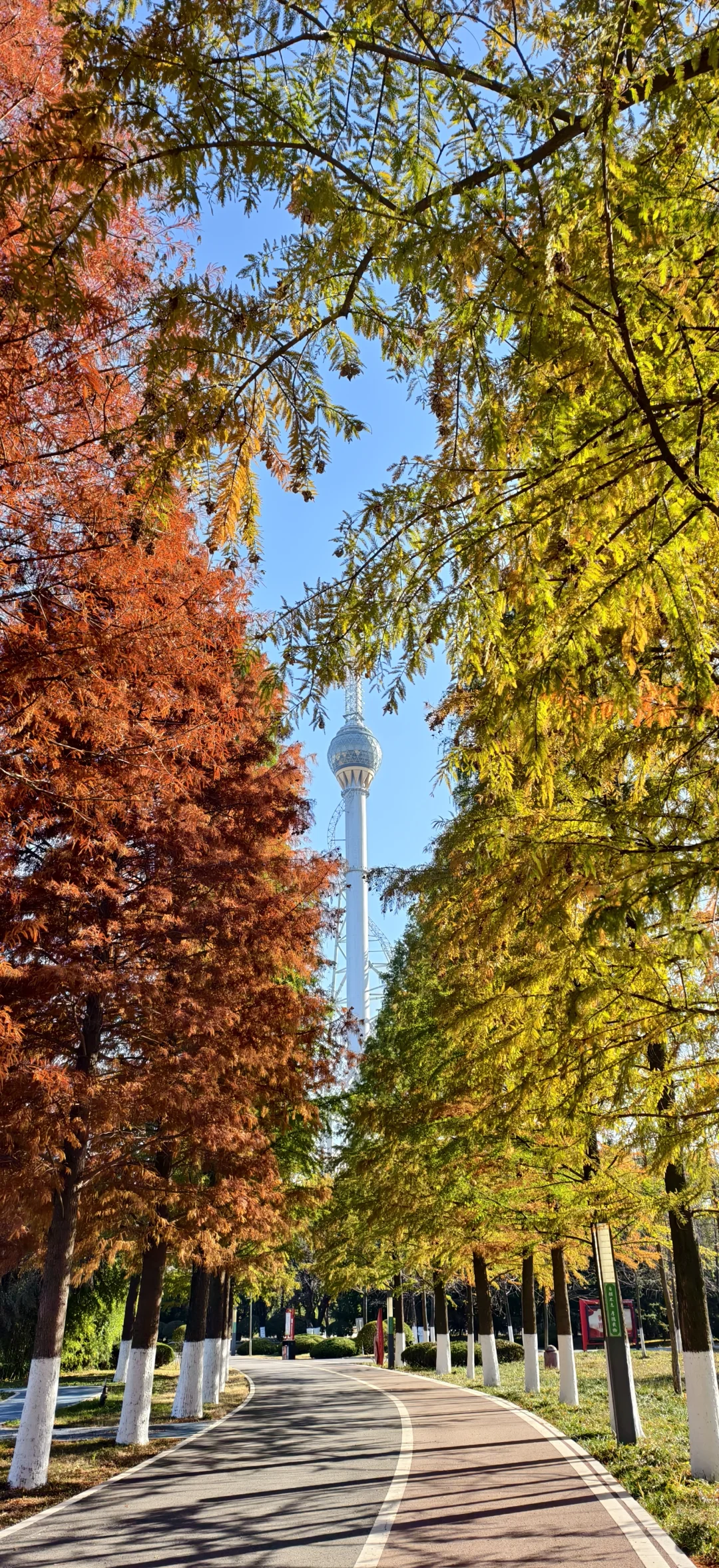 谁懂啊，好喜欢我的壁纸啊！