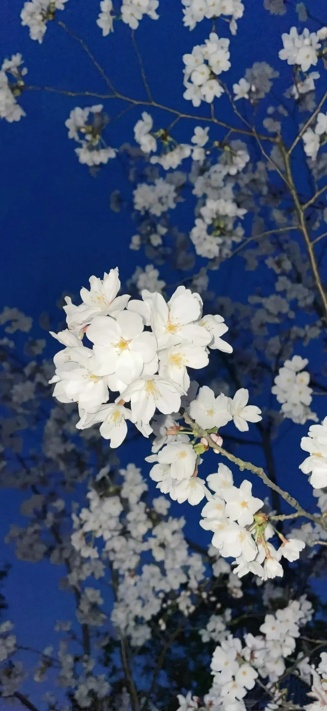 iOS26景深壁纸|iOS26空间壁纸 | 手机壁纸