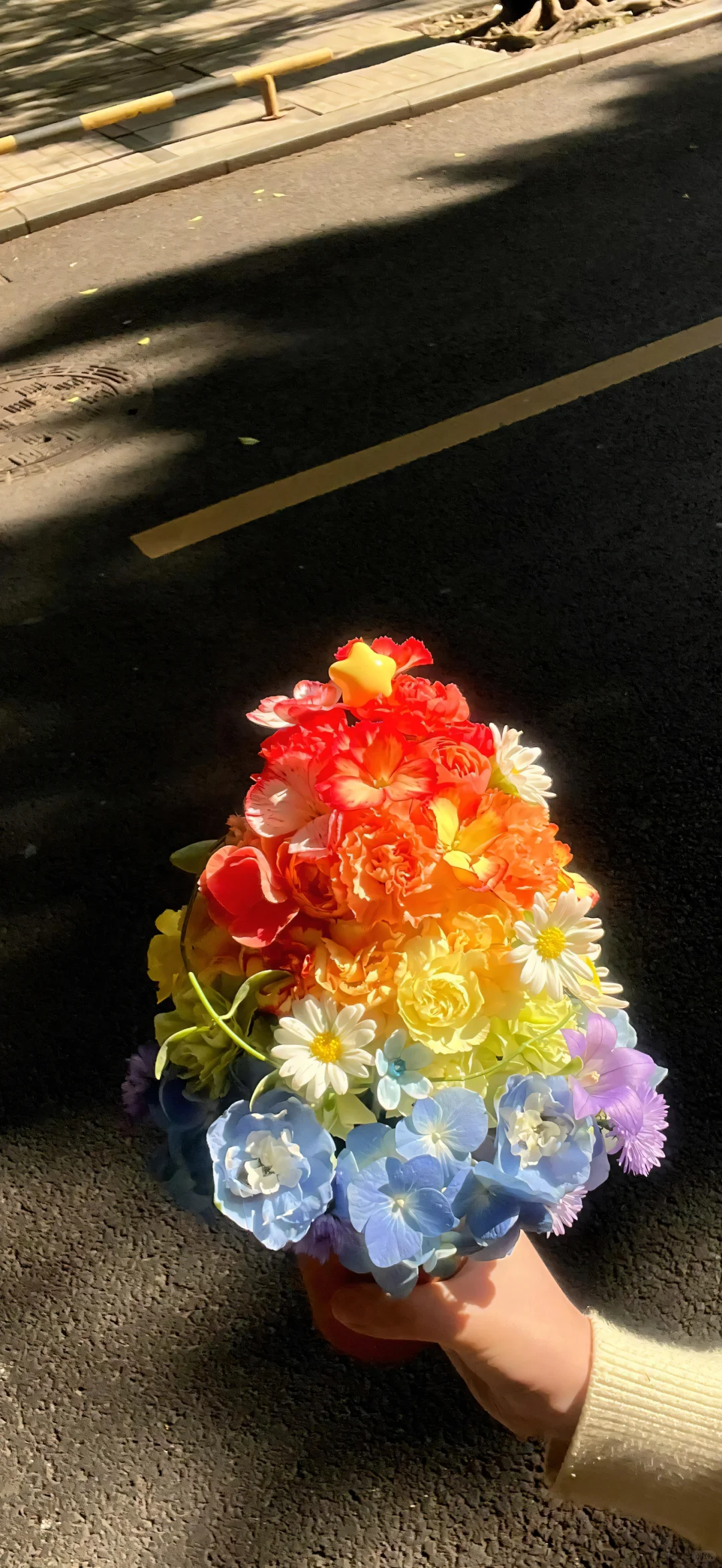 ˚𖥦˚◟✩哇~ins风彩色圣诞花束手机壁纸来啦~