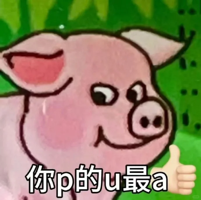 斗图人必备表情包