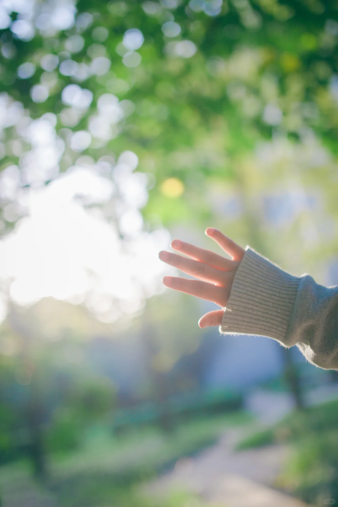 模特写真集2📷jk青春女孩