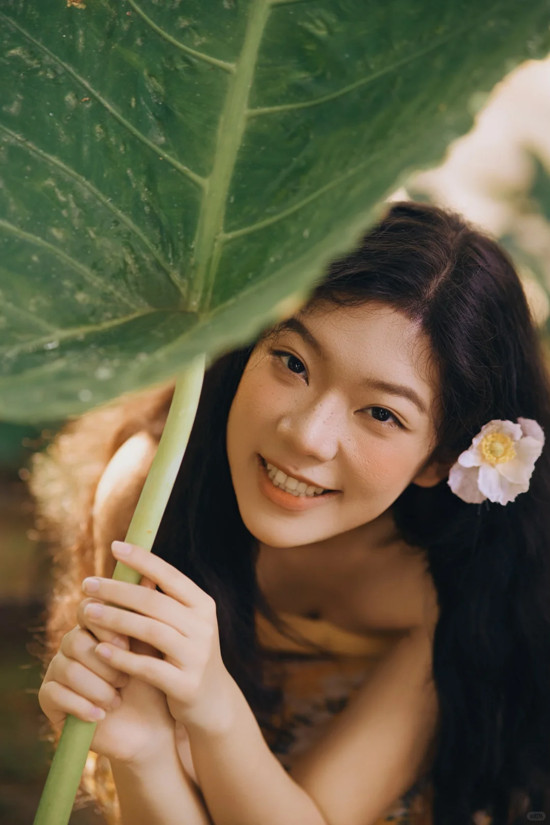 谁懂啊，在版纳拍到了超绝活人感写真