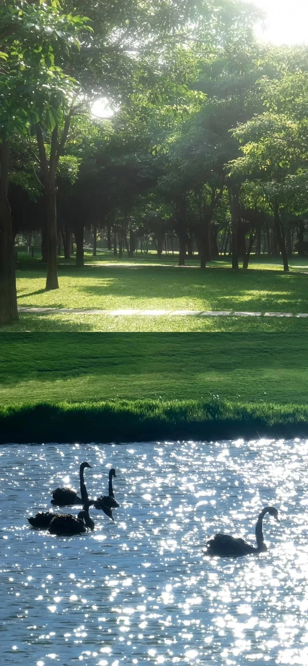 壁纸｜高级感爆棚的手机壁纸