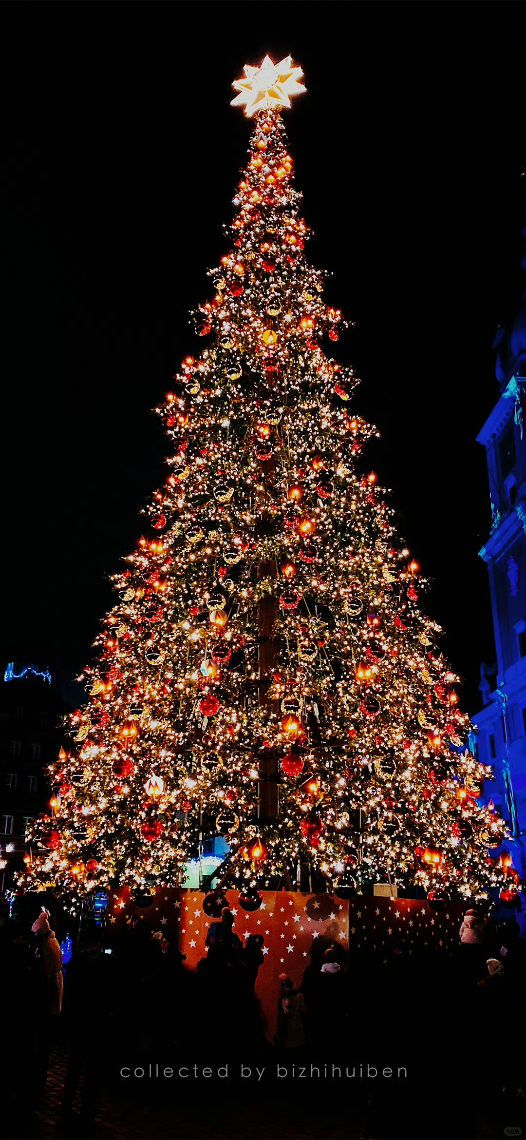 手机壁纸，圣诞壁纸2