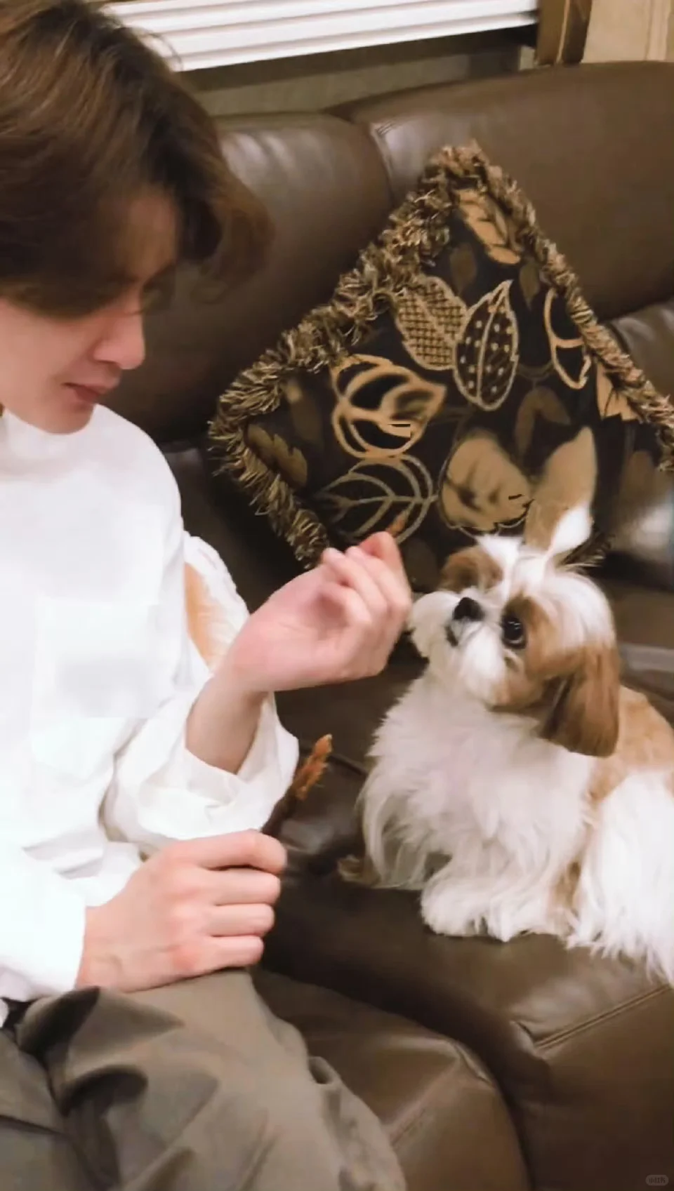 手机又可以换新的壁纸啦！