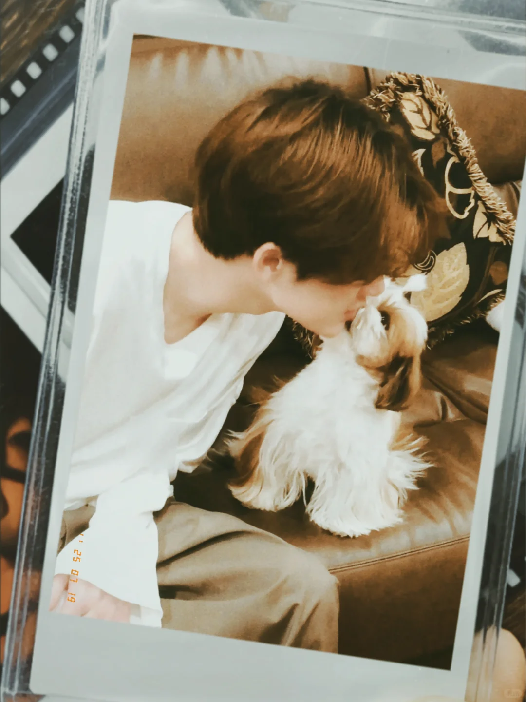 手机又可以换新的壁纸啦！