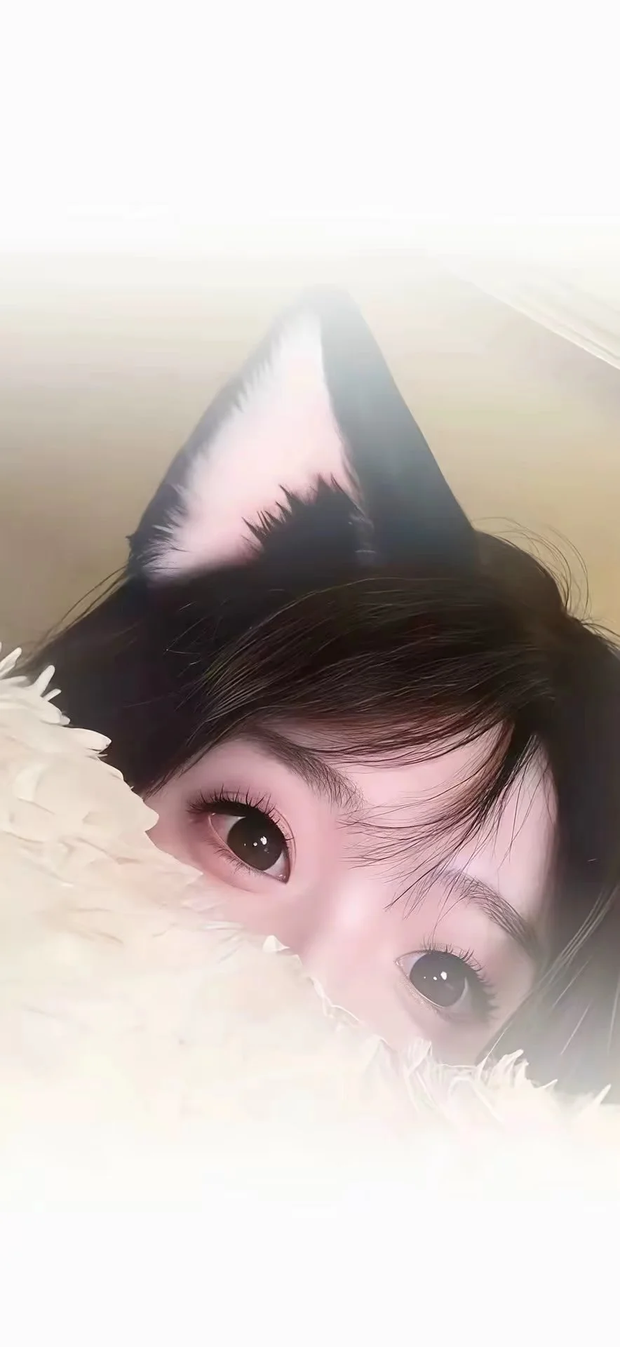 今日份4K高清壁纸分享