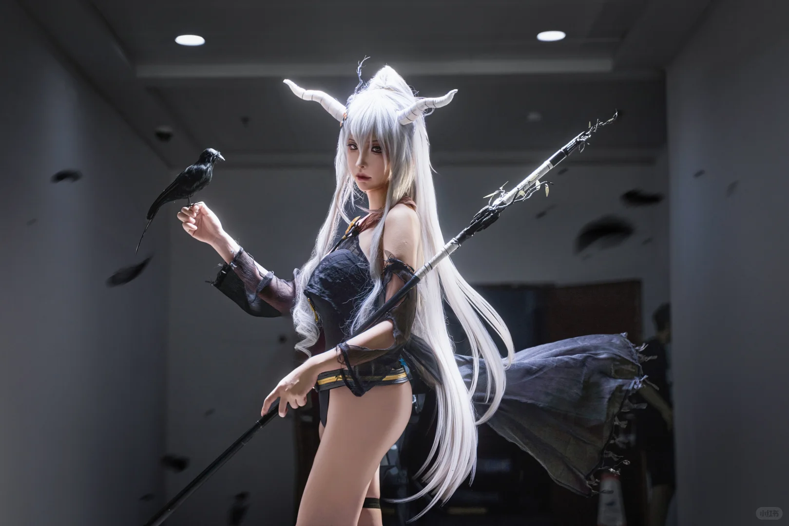 25南宁夏典d2闪灵泳装存档