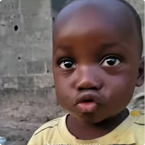 非洲十二少最新表情包