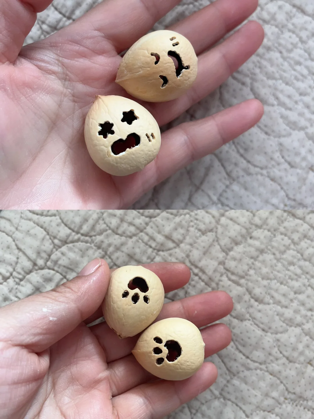 凤凰蛋壳表情包