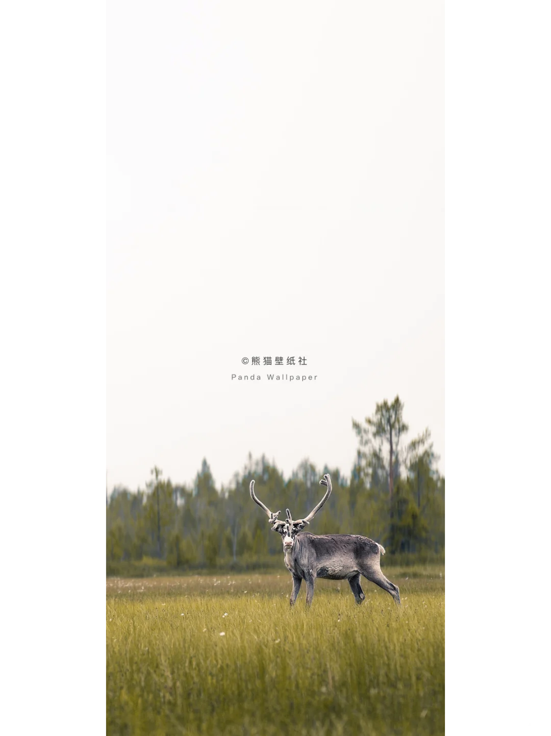 手机壁纸｜户外风景壁纸分享～