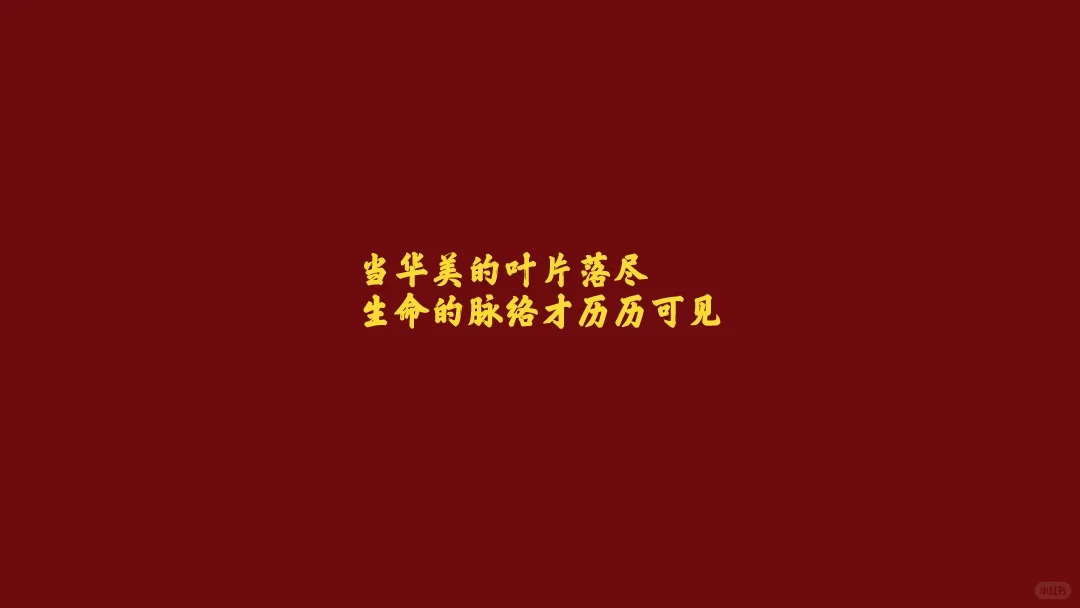 一体机壁纸20