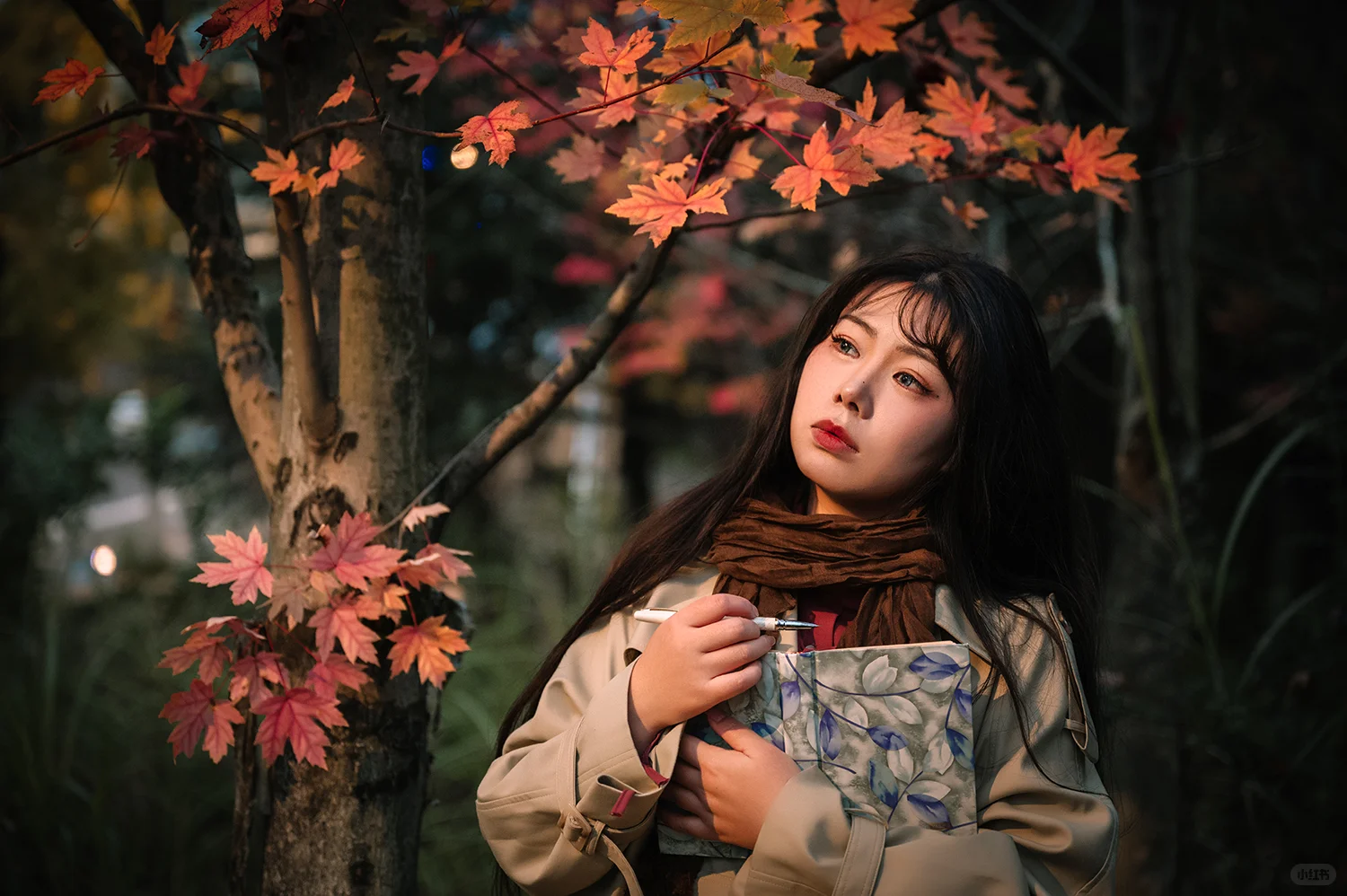 不去人挤人，在一棵枫树旁拍了一组写真