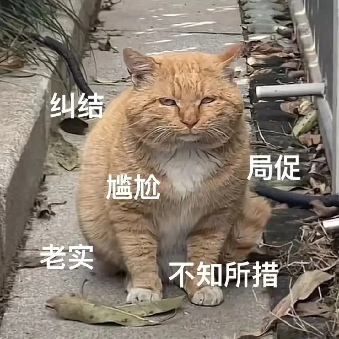 我是不会放弃收集这种表情包的！