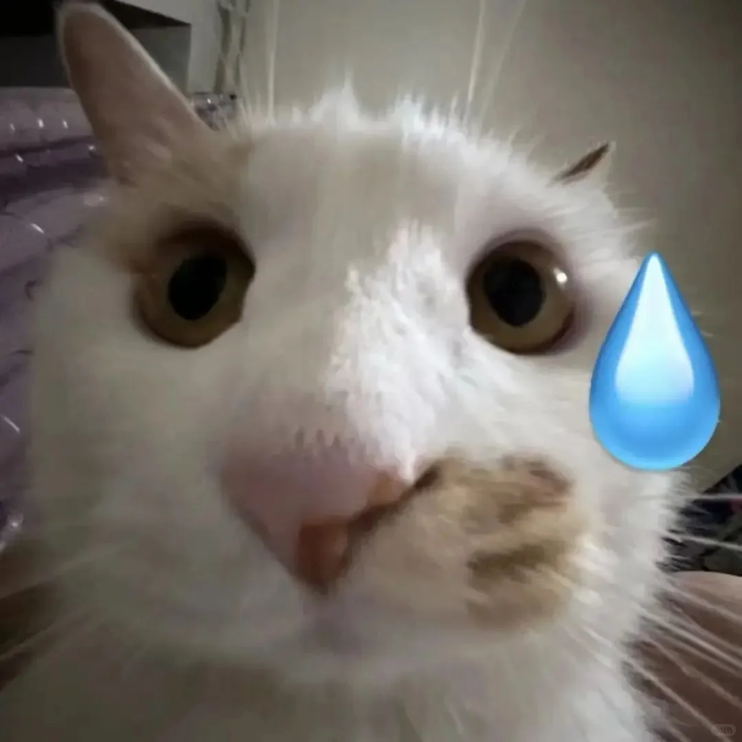 我是不会放弃收集这种表情包的！