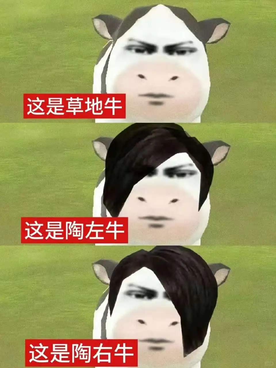 奶牛表情包大集合，聊天必备神器！