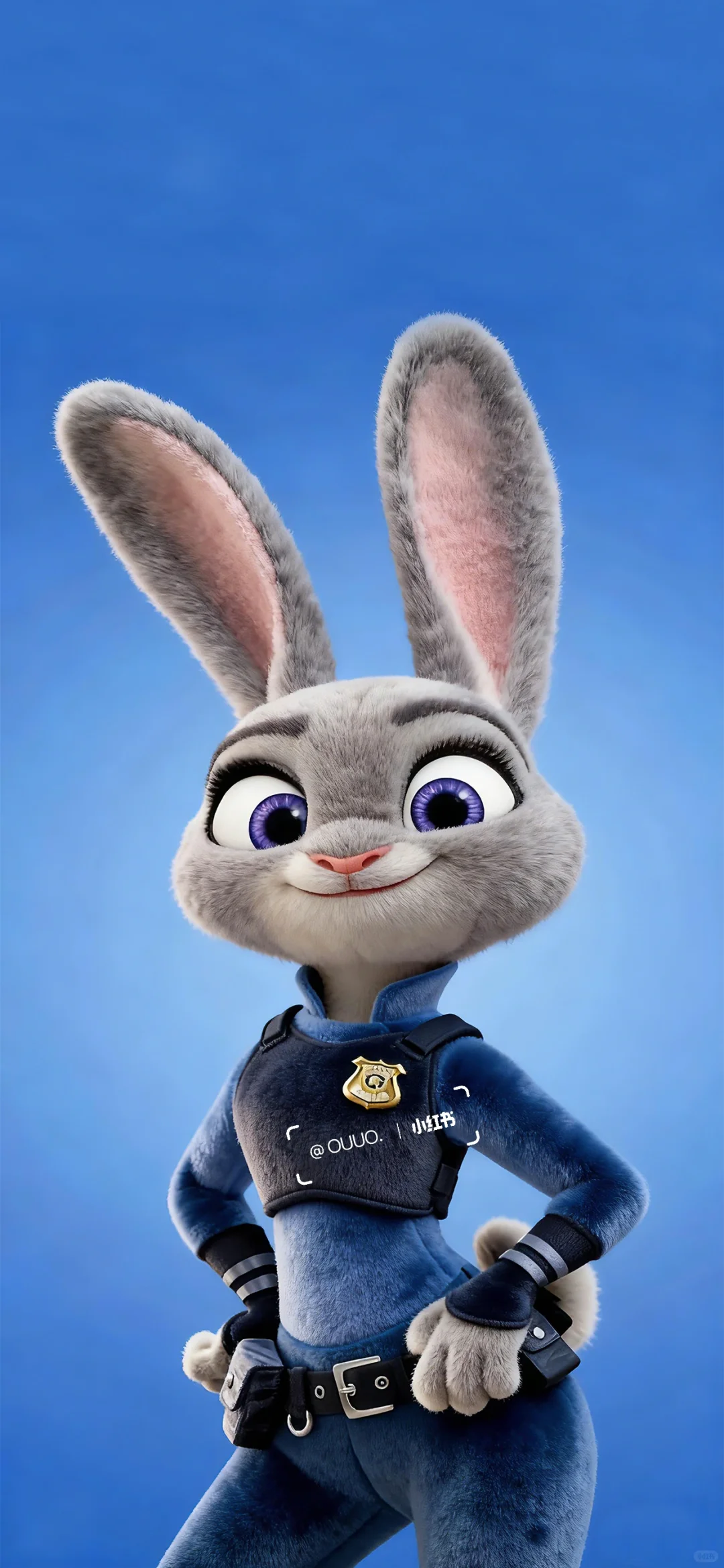 𝘄𝗮𝗹𝗹𝗽𝗮𝗽𝗲𝗿｜疯狂动物城毛茸壁纸🐰