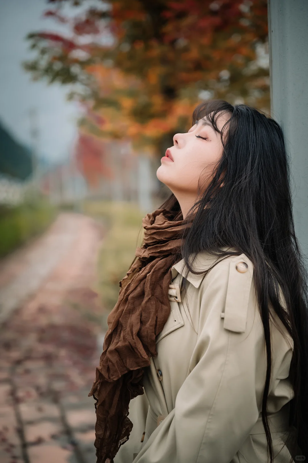 不去人挤人，在一棵枫树旁拍了一组写真