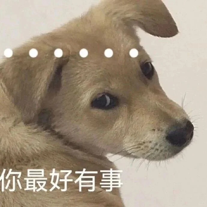 宠物表情包来袭~快来关注收藏